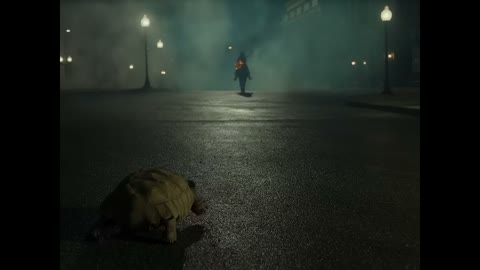 Beat 20: Tortoise on the road