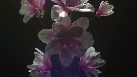 Beat 4: Dark water and flowers