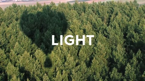 Beat 1: Forest