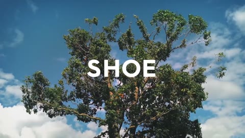 Beat 18: Tree shoe hold