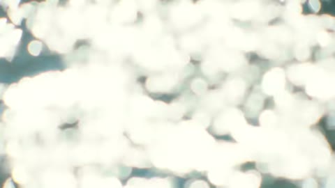Beat 2: Bokeh