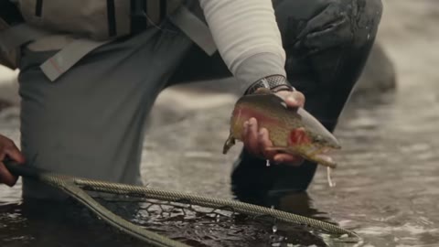 Beat 8: Landing a trout