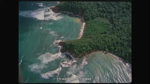 Beat 4: Born in Trinidad
