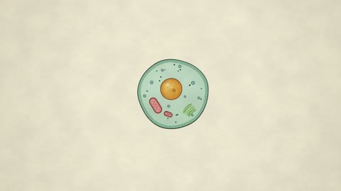 Beat 1: Still cell