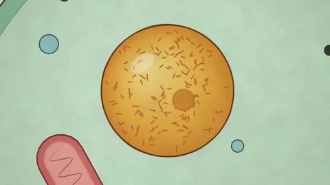Beat 2: Ink rings and dive