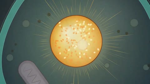 Beat 3: Nucleus ignites