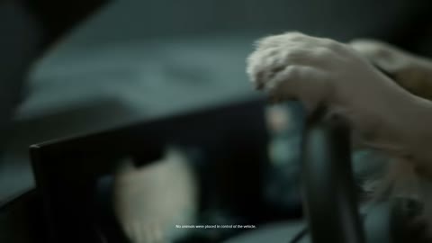 Beat 3: Paw on wheel