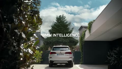 Beat 19: BMW Intelligence