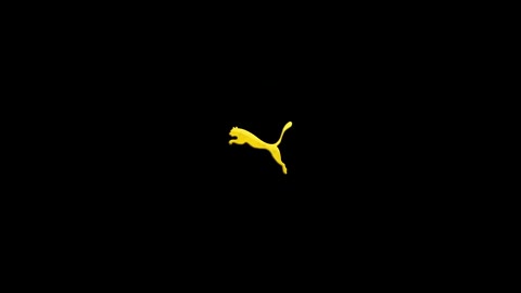Beat 30: PUMA cat