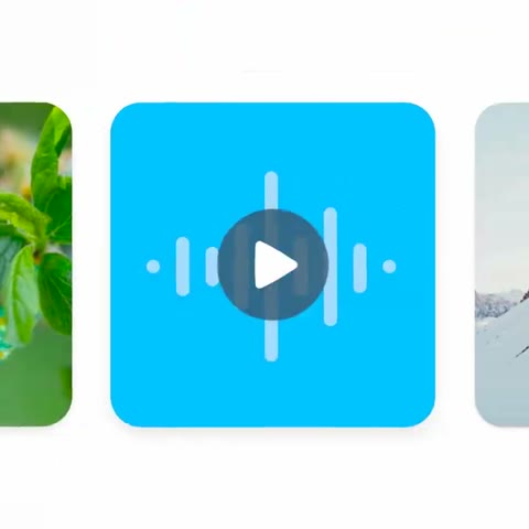 Beat 7: All your media