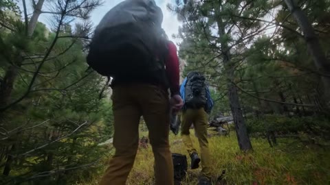 Beat 1: Hardware and hike
