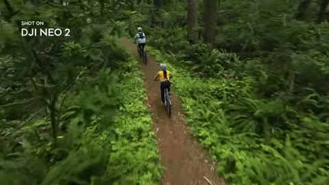 Beat 11: Forest chase