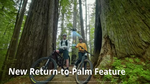 Beat 12: Return-to-Palm