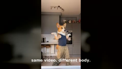 Beat 2: Corgi swap