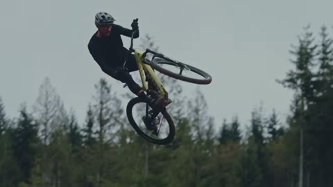 Beat 11: Tyre hands