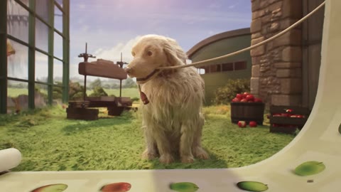 Beat 5: Dog on lead