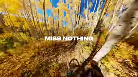 Beat 23: 50% more mics