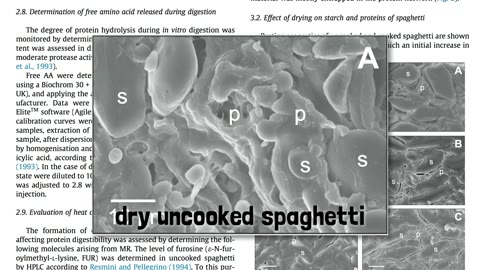 Beat 13: Dry spaghetti micrograph