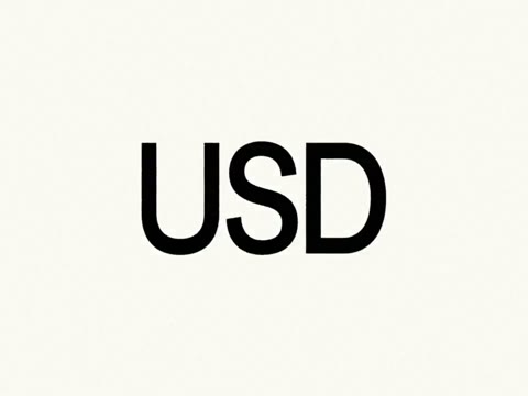 Beat 17: USD