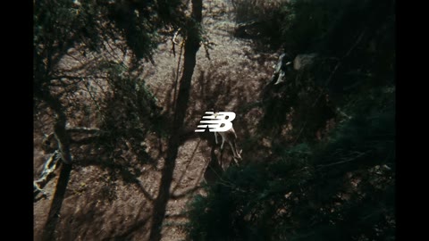 Beat 1: Logo over deer
