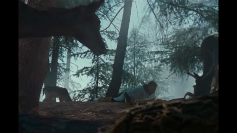 Beat 4: Wide with deer