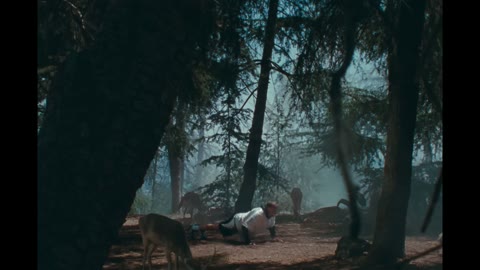 Beat 7: Wide forest hold
