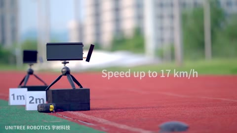 Beat 6: 17 km/h