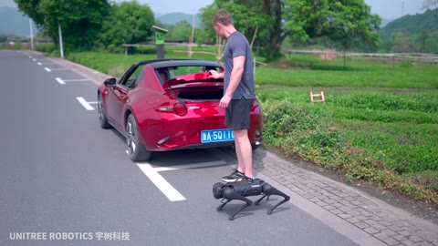Beat 14: Car approach