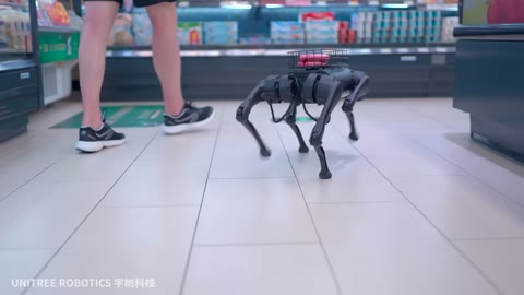 Beat 24: Supermarket