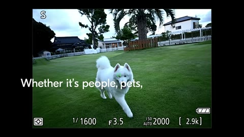 Beat 11: Vertical viewfinder