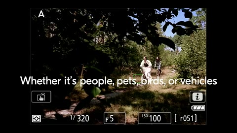 Beat 12: Pets
