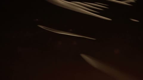 Beat 24: Dark streaks