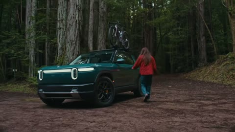 Beat 2: Car in the clearing