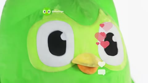 Beat 17: Plush Duo