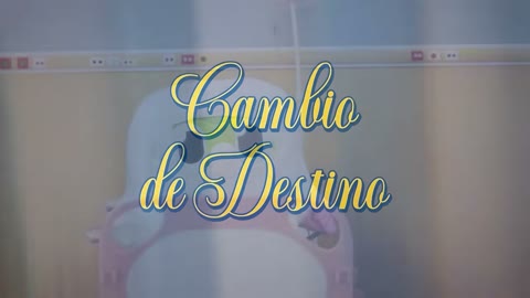 Beat 20: Title card