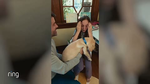 Beat 1: Puppy surprise