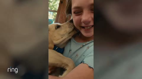 Beat 2: Puppy kiss