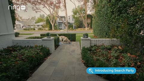 Beat 11: Neighbourhood scan