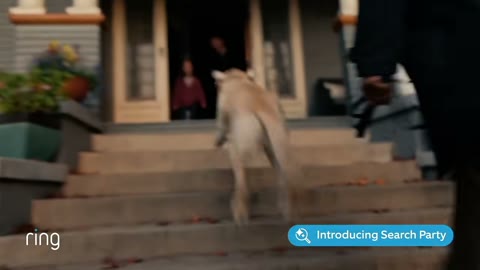 Beat 13: Girl at the door