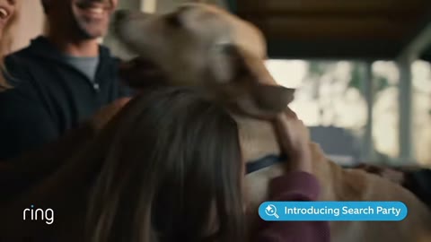 Beat 14: Dog runs up