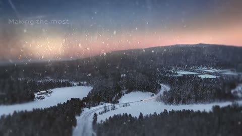 Beat 25: Aerial forest