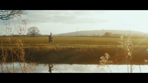 Beat 19: Golden field
