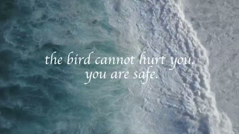 Beat 2: The bird cannot hurt you