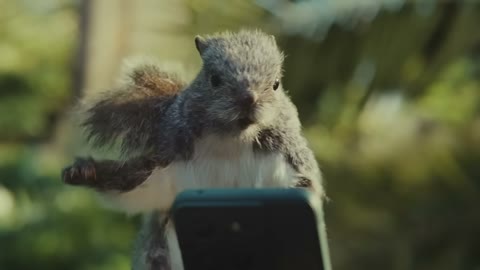 Beat 10: Squirrel arrives