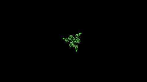Beat 17: Razer logo
