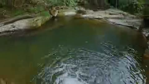 Beat 1: Pool jump