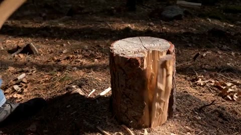 Beat 4: Log split