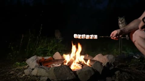 Beat 6: Campfire