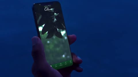 Beat 4: Phone in hand
