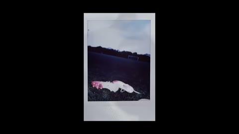 Beat 11: Instant photos